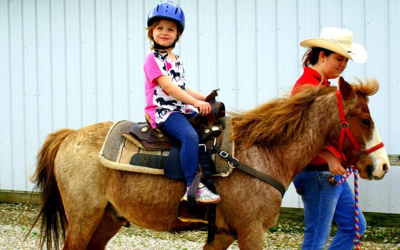 The Riding School At Casey Arabians Parties For Kids Buford GA